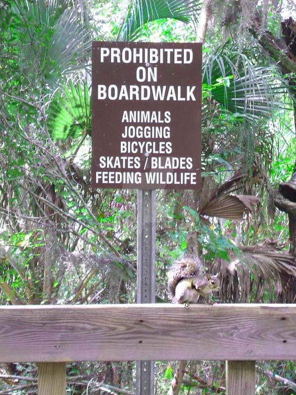 Prohibited by KristaCakes on DeviantArt