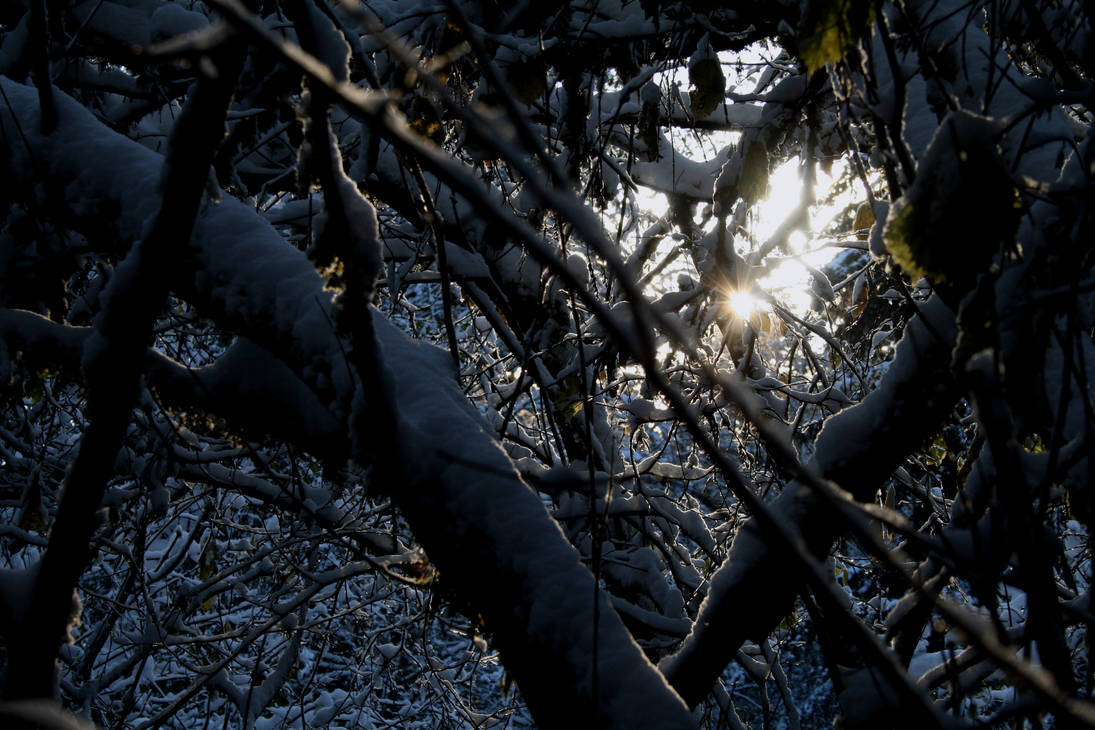 Sun on a Cold World by LazyEyesInc on DeviantArt
