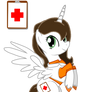 Pony Doctor Holiday