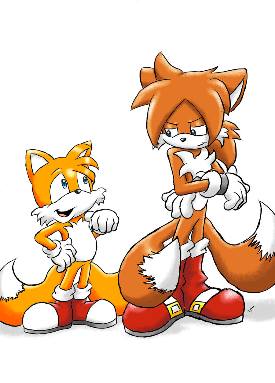 Tails Compass COMM Tails and Tails by ViralJP on DeviantArt