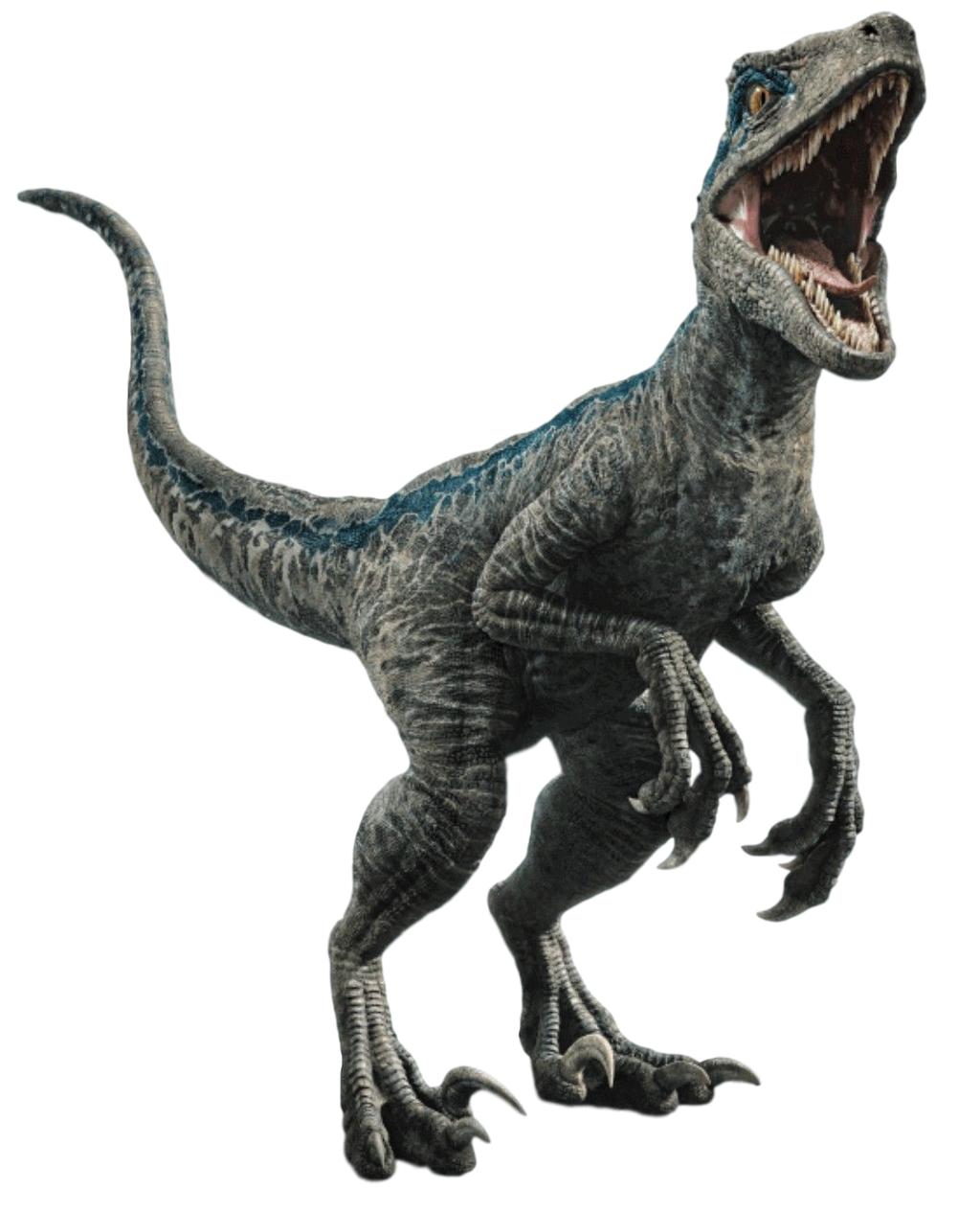 Jurassic World Blue By Camo Flauge On Deviantart Jurassic World Blue By Camo Flauge On Deviantart