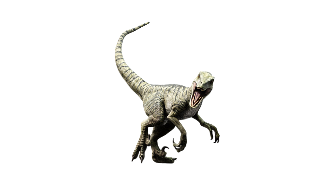 Jurassic World - Charlie (Raptor)! by SpeedCam on DeviantArt