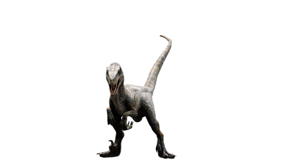 Jurassic World Echo Raptor By Camo Flauge On Deviantart 