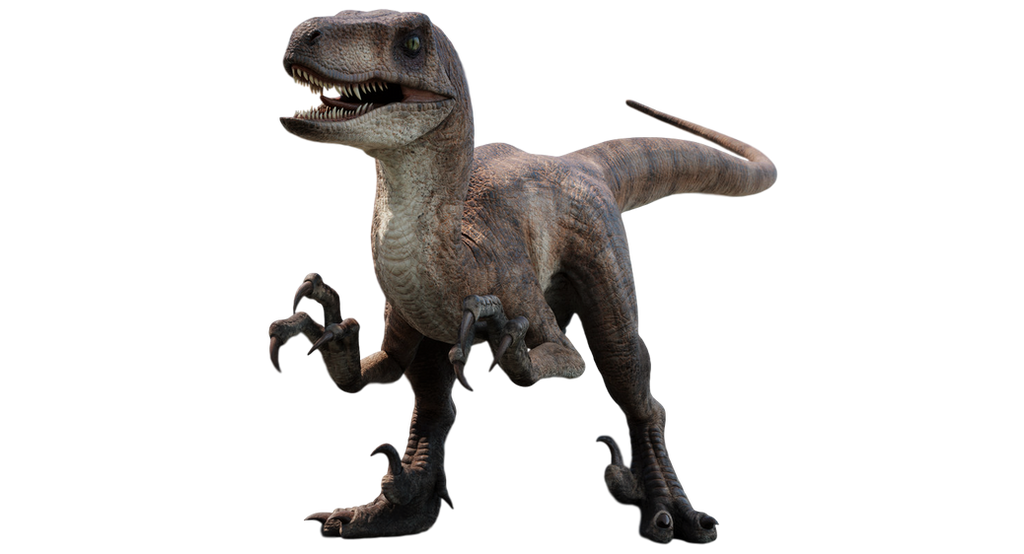 Jurassic Park Velociraptor 2 By Speedcam On Deviantart 