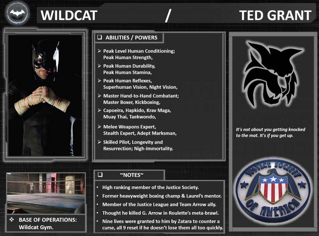 Wildcat Racing Character Character Profile: Wildcat. by SpeedCam on DeviantArt