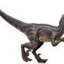 Jurassic Park 3: Velociraptor - Transparent!