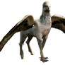 Buckbeak - Transparent!