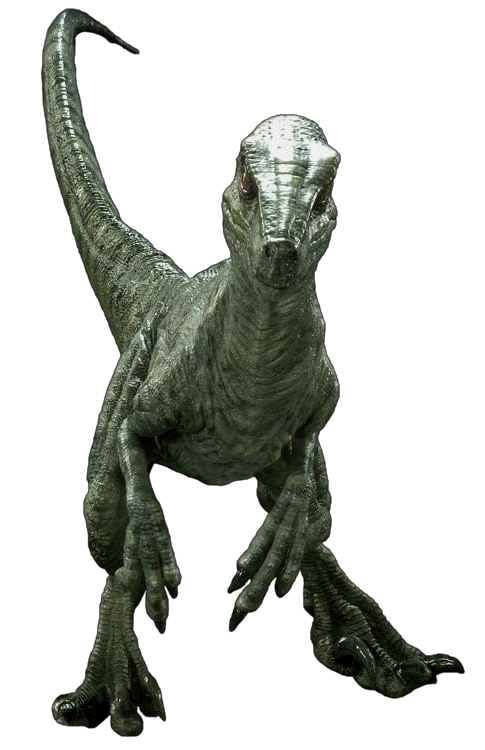 Jurassic world hotsell velociraptor charlie