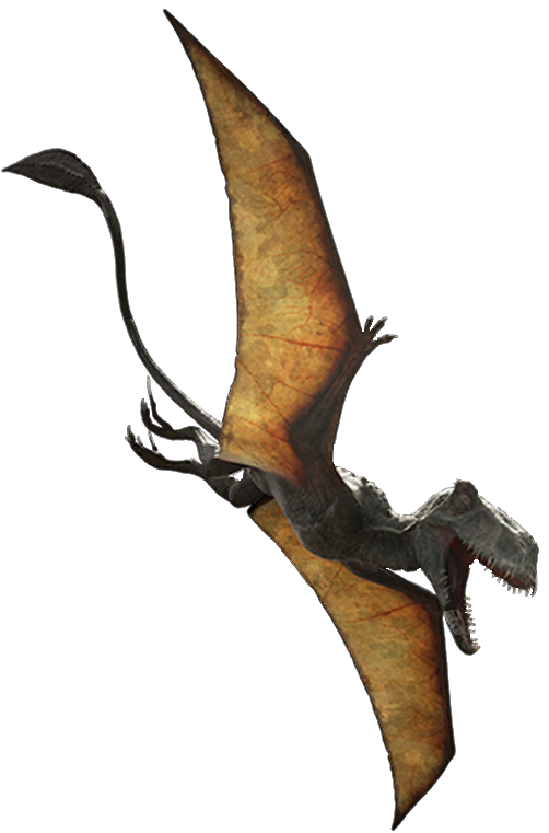 Dimorphodon - Transparent! by SpeedCam on DeviantArt