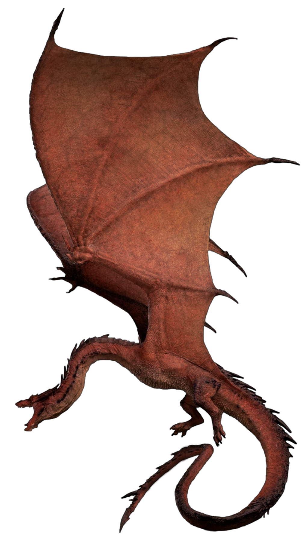Smaug Vector Smaug (1) - Transparent! by SpeedCam on DeviantArt