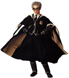 Madam Hooch - Transparent!