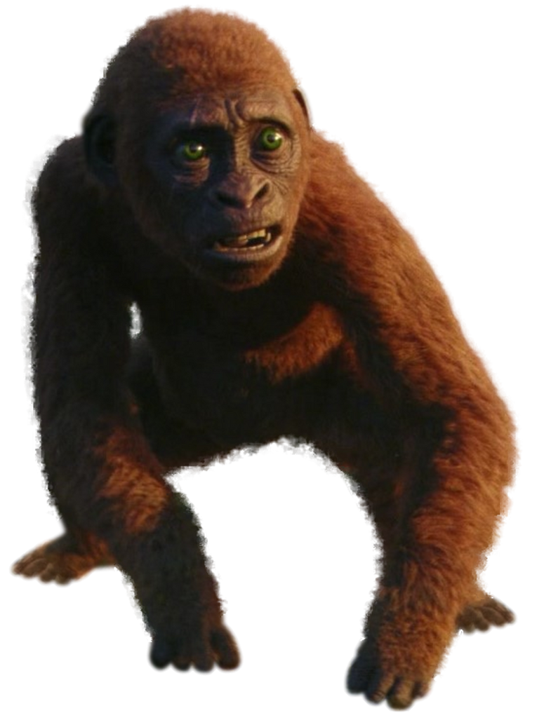 Suko - Transparent! by SpeedCam on DeviantArt