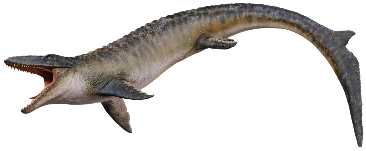 Transparent Mosaurus Mosasaurus 'M142' (Rebirth) - Transparent by SpeedCam on DeviantArt