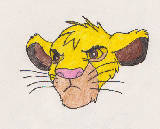 Simba mad by cdot284 on DeviantArt