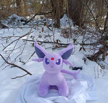 Espeon in the snow