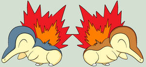 Pokemon: Cyndaquil and S.Cyndaquil