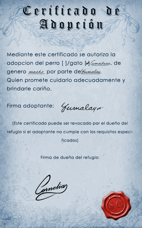 Certificado de Adopcion Amadeus by Yumalay on DeviantArt
