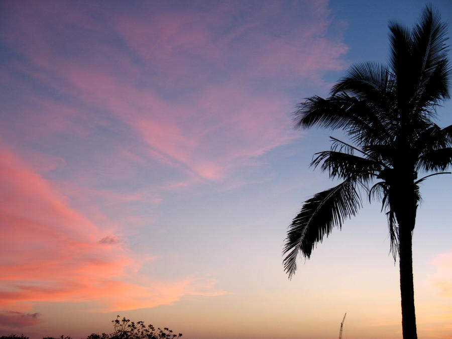 Pinky Clouds