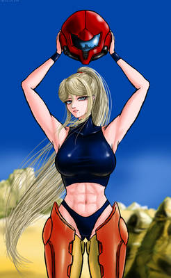 Samus aran 31