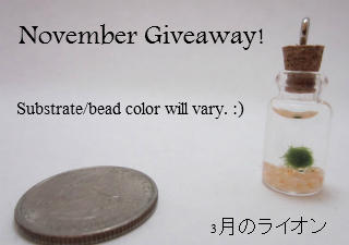 GIVEAWAY