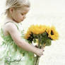 Child Portrait Sunflowers