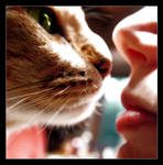 kitty kiss by littleredelf