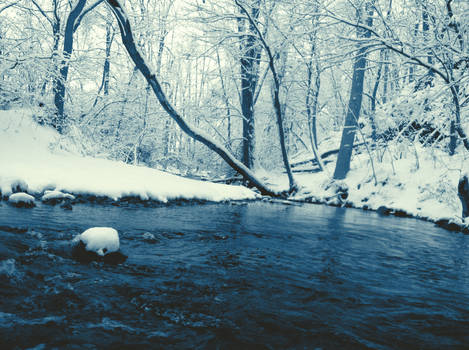 Frozen Creek