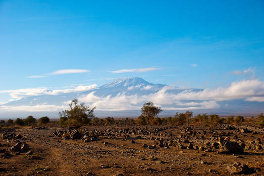 Kilimanjaro in the morning