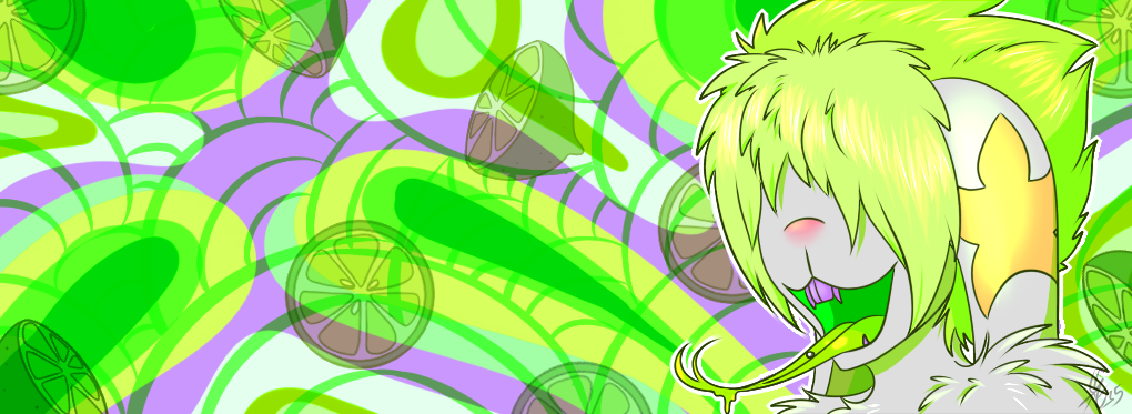 Lime Qito facebook banner