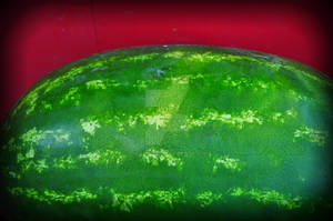 Watermelon Lomo