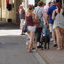 barefoot street uk 2014  3 of 4