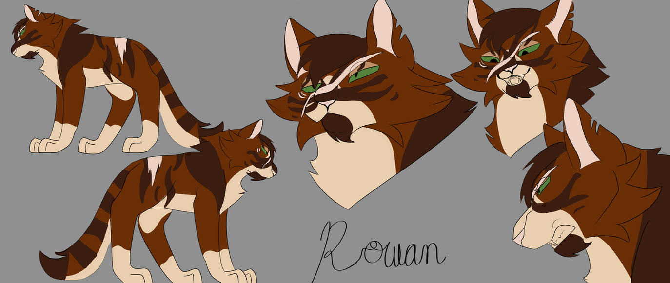 Rowan Hawk Form Rowan Ref Sheet by Phoenixist on DeviantArt