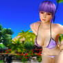 Dead or Alive 5 Last Round - Ayane 