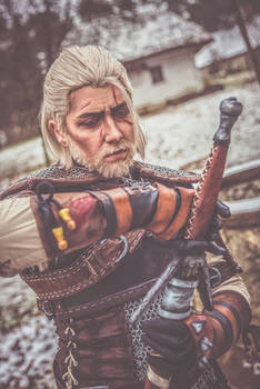 Silver for monsters/ The Witcher 3/ Geralt Cosplay