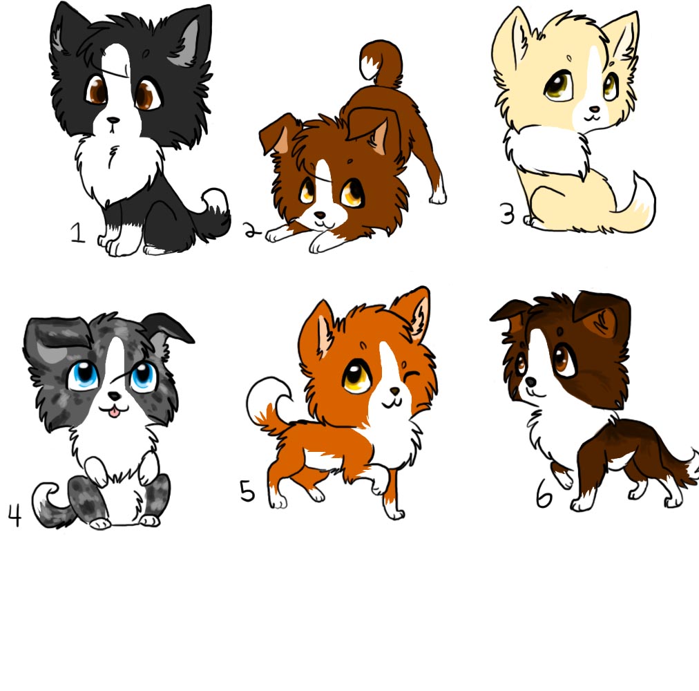 Chibi Border Collie draw-to adopts OPEN