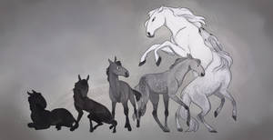 Grayscale Lipizzaners