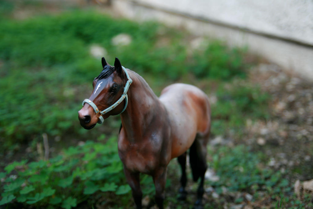 Rosie's Running Thunder Breyer-Creator