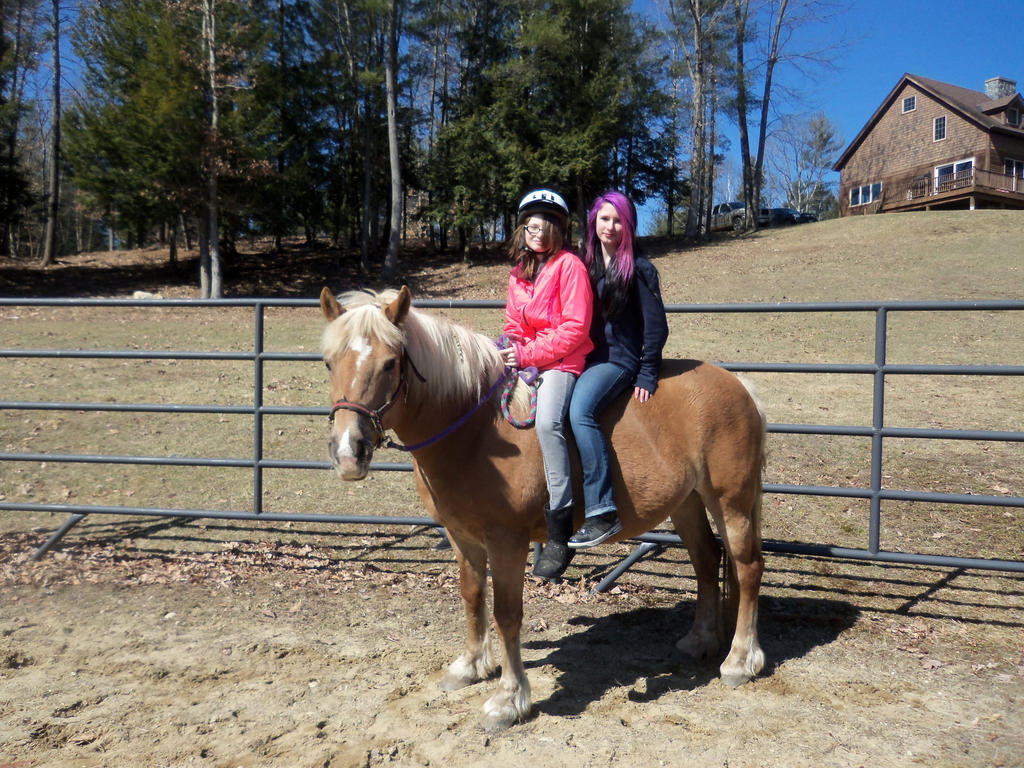 How Penny Roles by Jade-The-Jaguar on DeviantArt