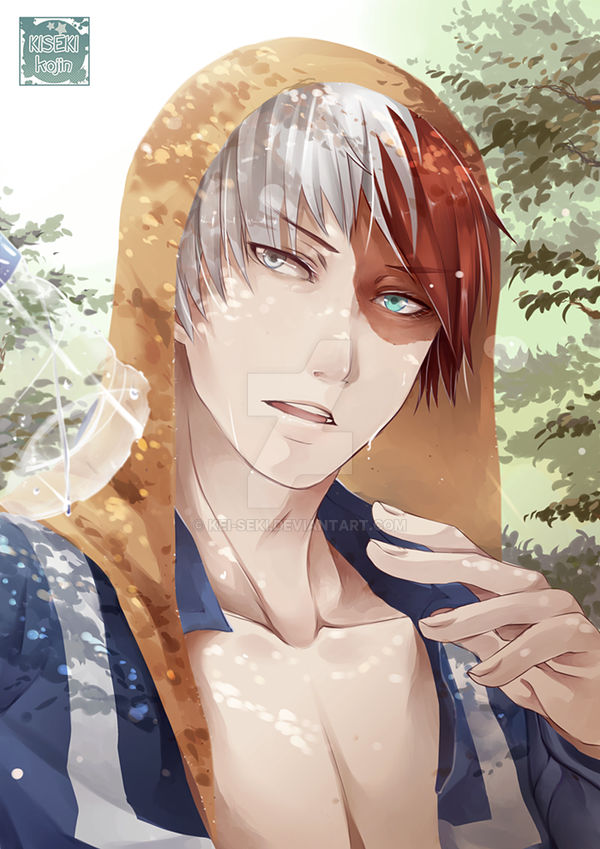 Todoroki Core Boku no Hero Academia: Todoroki by Kei-Seki on DeviantArt