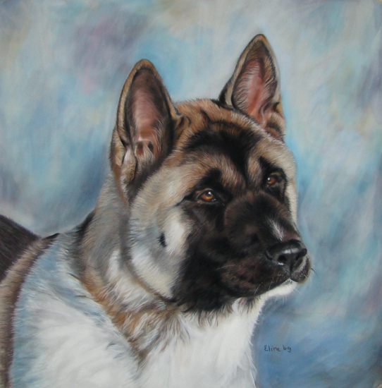 Akita in pastel