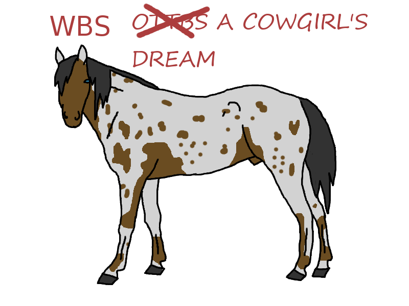 WBS A Cowgirl's Dream