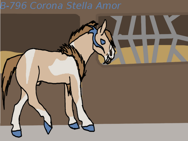 225 OTTBS Corona Stella Amor