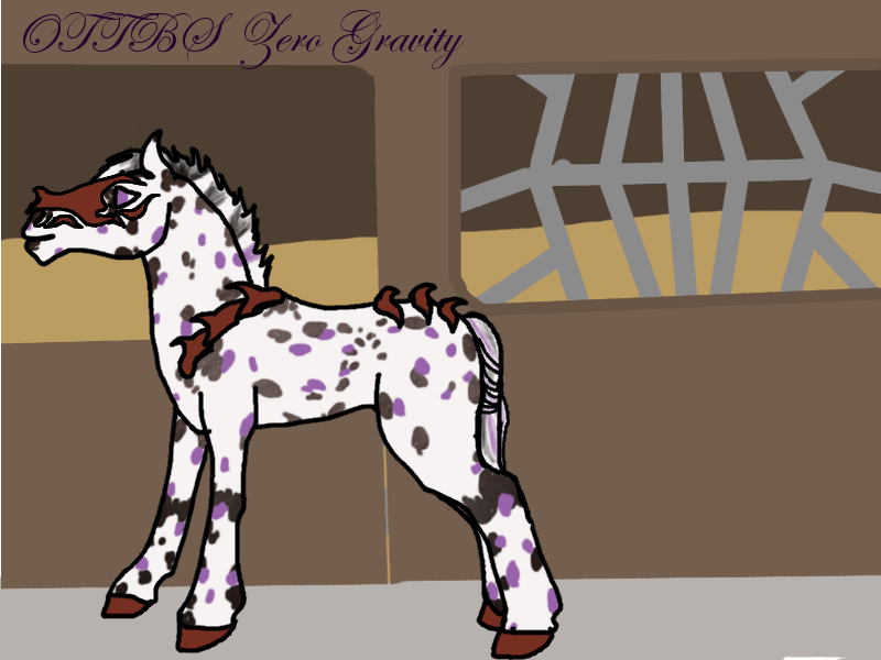 #0304 OTTBS Zero Gravity