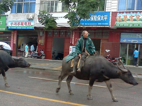 Main street: Longkou town