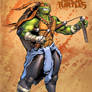 Michaelangelo of the Teenage Mutant Ninja Turtles