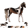 WotW | Veiovis S-419 Ref