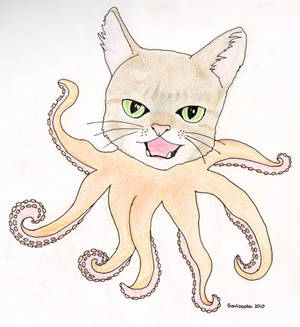 Octopus-Cat