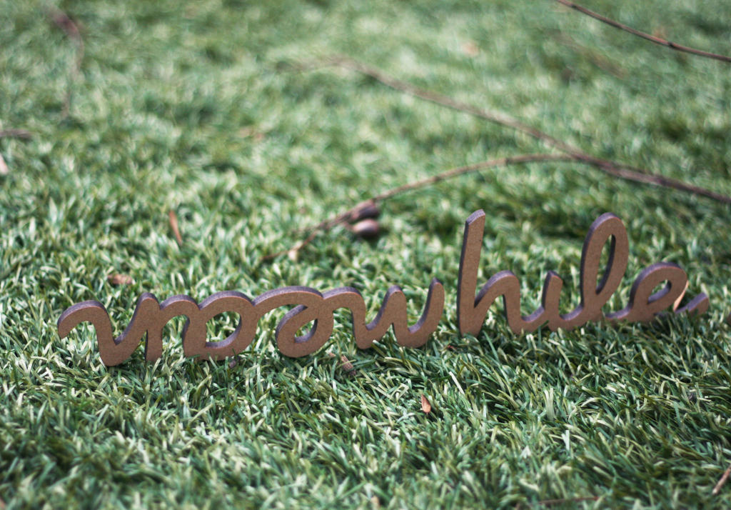 Meanwhile Logo by stephanielok on DeviantArt