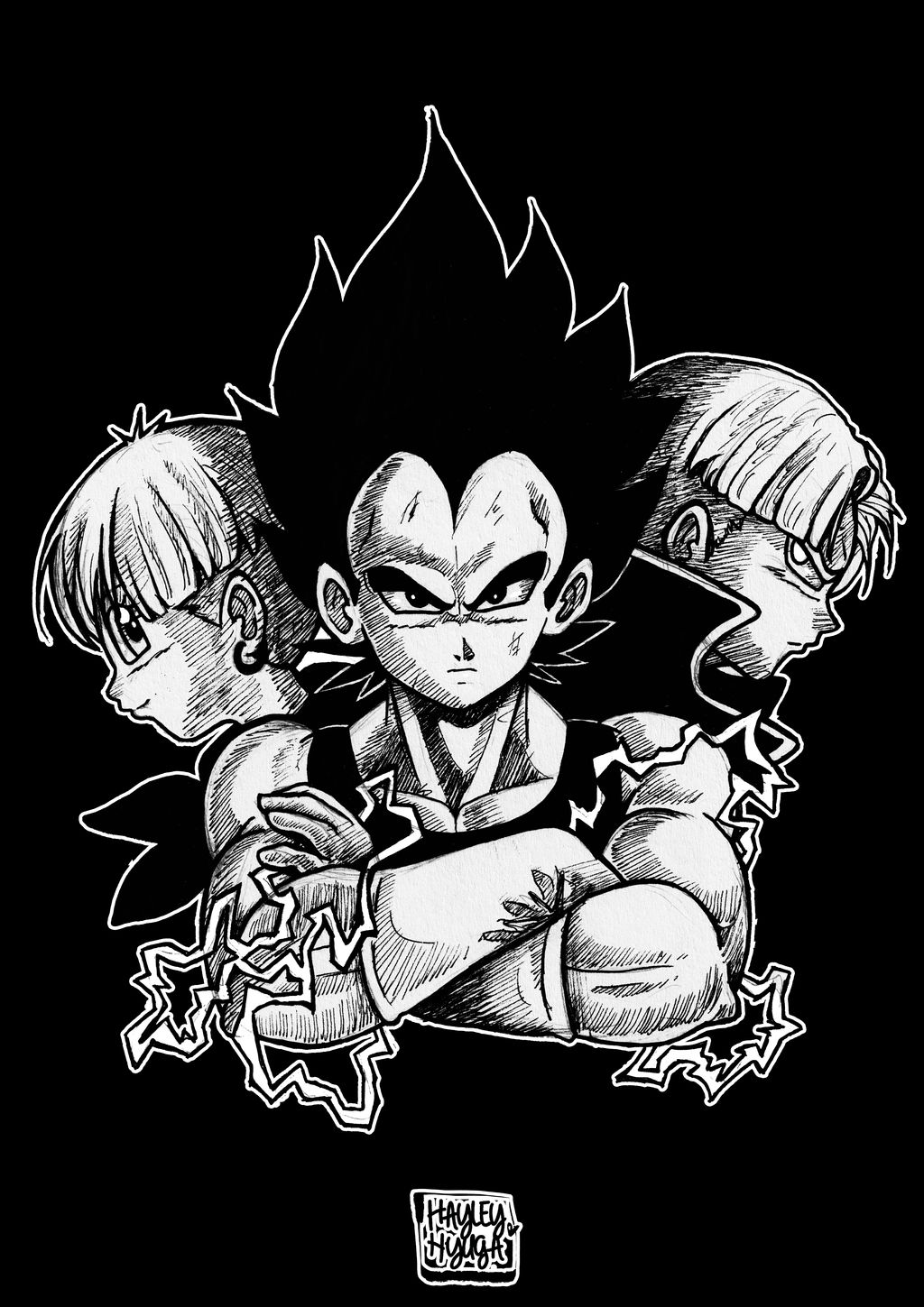 Vegeta Bulma Trunks by Hayley-Hyuga on DeviantArt