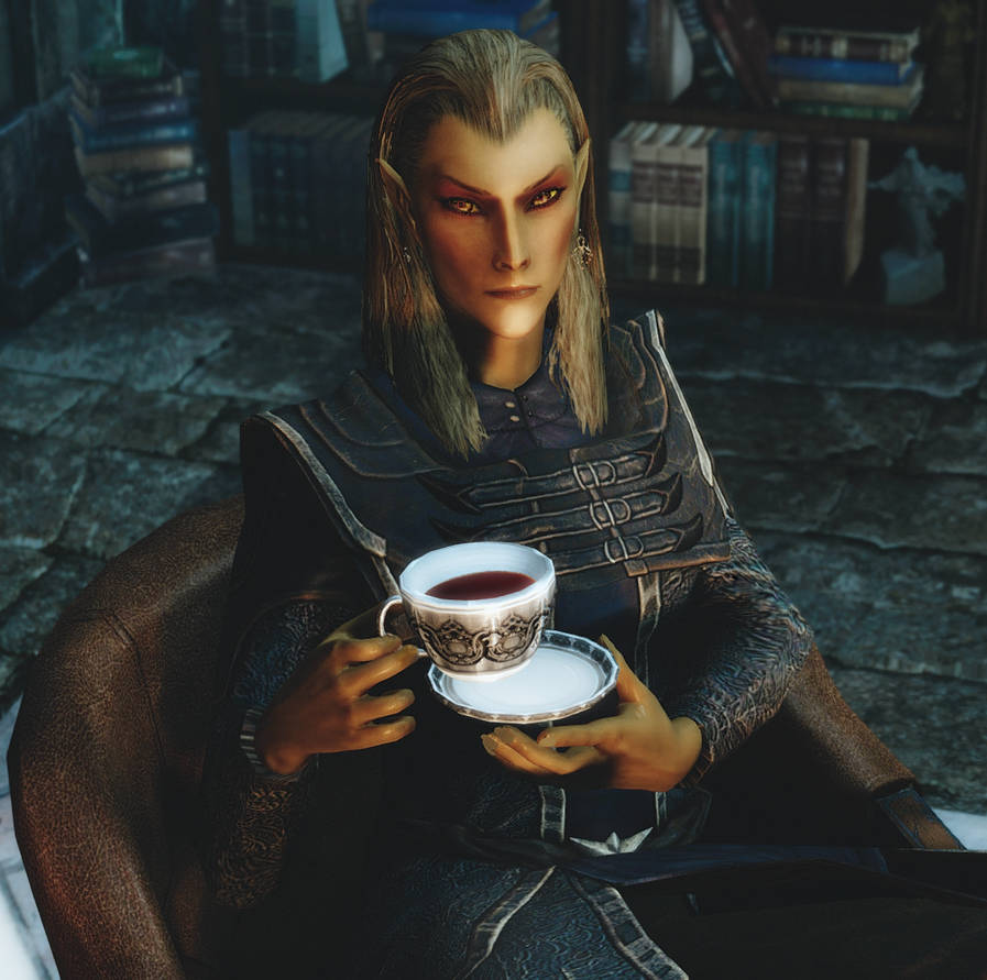 Skyrim Screenshot Elenwen By Elleylie On DeviantArt skyrim-screenshot-elenwen-by-elleylie-on-deviantart